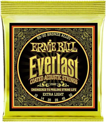 Ernie Ball 80/20 Bronze Everlast Acoustic Guitar Strings